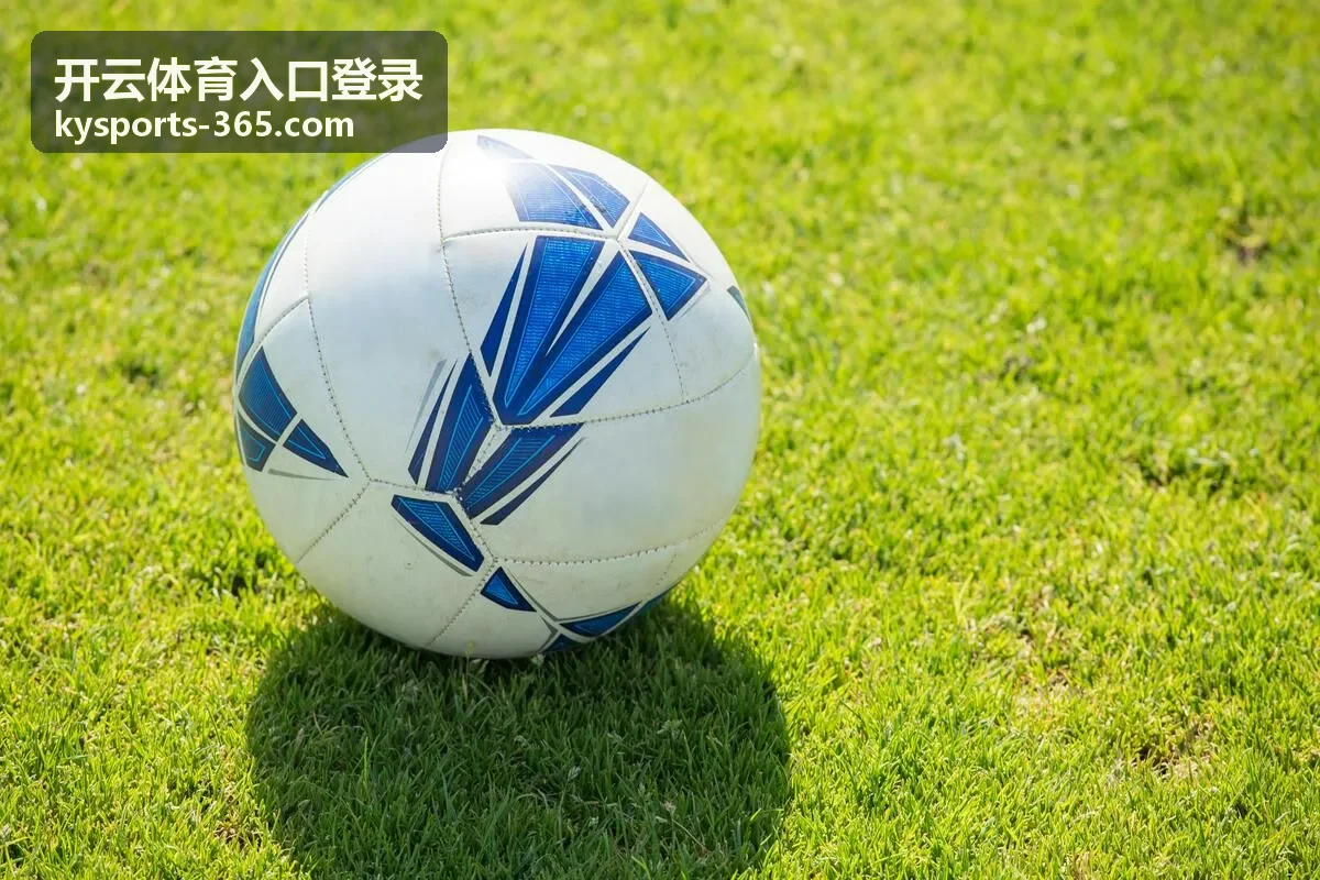 开云体育入口登录极速接入